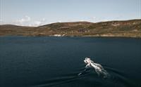Droneutsikt av båten Halnekongen midt i Halnefjorden.