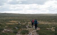 Et par turgåere med vidda i bakgrunnen.