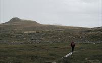 En mann på tur i skyet vær på Hardangervidda.