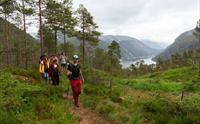 Fjord cruise & guided mountain hike to "Slottet"