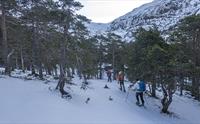 Vandrergruppe på en snødekt sti omgitt av vinterlige trær og fjell i bakgrunnen.