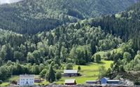 Flesje Gard, Balestrand
