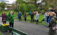 Norwegian Guide Service
