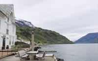Guidet sidertur langs Hardangerfjorden