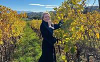 Hege fra Straen Vin ved druebusk