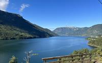 Cider Cruise Sognefjord