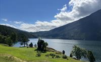 Cider Cruise Sognefjord