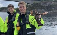 Øygarden Opplevelser