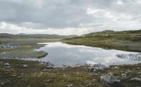 Et lite fjellvann under en overskyet himmel.