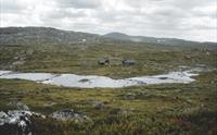 Kjeldebu fjellstue fra andre siden av elva, omgitt av fjellgrønt.