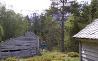 Ved stølen Klepp