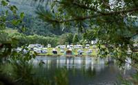 Lone Camping