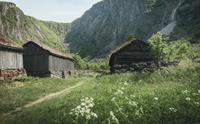 Tre av de gamle husene på Måbø museum, med fjell i bakgrunnen.
