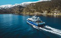 Halvdags fjordcruise fra Bergen til Mostraumen