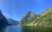 See the fjords - Nærøyfjord