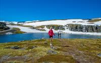Nasjonal turistveg Aurlandsfjellet