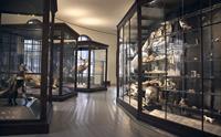 Universitetsmuseet i Bergen