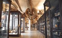 Universitetsmuseet i Bergen