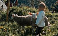 Haug Gard - Odelsgut farm visit