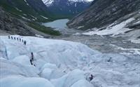 Nigards - IceTroll