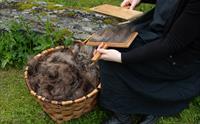 Toving av ull på Osterøy Museum