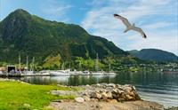 Rosendal