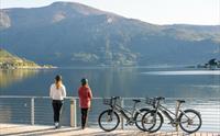 Sykkel Sogndal