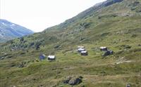 Samdal