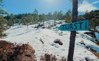 Slottet