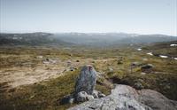 En T-merket stein med fjell i bakgrunnen.