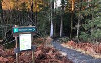 Start of the walk to Håøytoppen