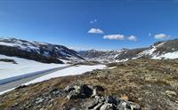 Tindevegen, Årdal