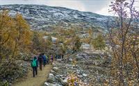 En gruppe turgåere i høstfjellet