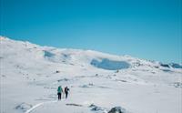 Personer på ski på vei mot Trolltunga.