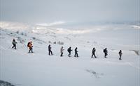 Gruppe på trugetur gjennom vinterlandskapet i Hardanger.