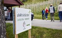 Skilt som viser vegen til gardsutsalet hos Ulvik Frukt & Cideri, med turistar på veg inn i frukthagen.