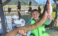 Nesheim Camping og hytter - Fiske