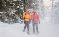 Trugetur - Jotunheimen Travel