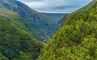 Utladalen, Årdal