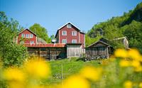 Vetti Gard Turiststasjon