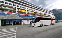 Boreal Travel i Vik