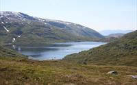 Viddalsvatnet