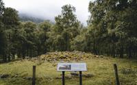 En informasjonstavle foran en vikinggrav.