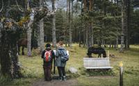 To kvinner som leser informasjonstavlen foran en vikinggrav og noen hester.