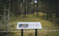 En informasjonstavle foran en vikinggrav.