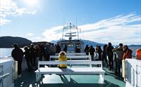 Reisande nyt sola og utsikta frå dekk på Hardangerfjordekspressen i Hardanger.