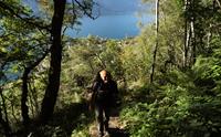Tursti i skogen