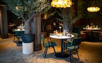 Basso Social Bergen