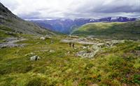 Guidet dagstur til Trolltunga