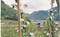 Ølmheim Siderhage
